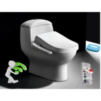 Luxe Bronze Connect Japán stílusú bidés wc-ülőke