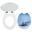 WC-SOFT3D